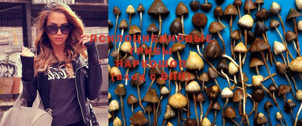 MESCALINE Гусиноозёрск