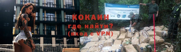 крисы Тайга