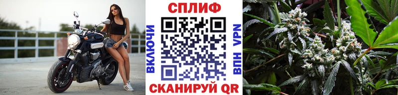 Бошки Шишки White Widow  гидра   Меленки  купить закладку 